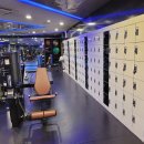 분당-278 이미지