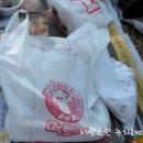 투어고고