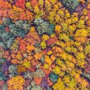 산촌캠핑장 이미지