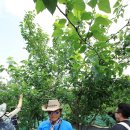 경윤농장 | 양평엔 체험과 캠핑-체험과 아이들의 웃음이 가득한 "아빠랑 놀자~!!"