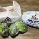 바보돼지두마리