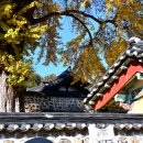 능주 향교 이미지