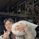 태평정미소 이미지