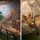 불갑사 산림박물관 이미지