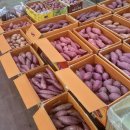 구리농수산물도매시장 청과물 | 신선하고 저렴한 먹거리가 가득! 구리 농수산물 도매시장 탐방기