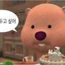 15시간 벼락치기로 SNS광고마케터 1급 합격하기(2023.11.20~2023.11.24)