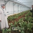 덕동농장 연합뉴스