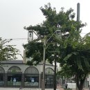 (주)씨네씨티