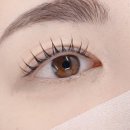 라디다뷰티 - 서귀포시 동홍동로 27 | 라디다뷰티