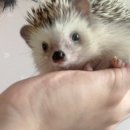 영석마트 이미지