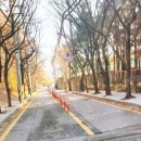 성남시립 양지테니스장 이미지