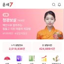 운이네 | [리뷰] 운세7 태양 타로 이직운 상담 후기