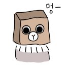 루이동물미용 이미지