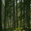 더소울(The soul) 이미지