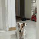 (주)케어풀 이미지