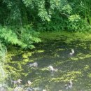 정금농장 이미지