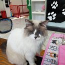 정성환동물병원 이미지