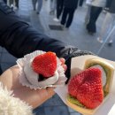 코나붕어빵 | [후쿠오카] 다자이후 필수 먹거리 2종! 텐잔 딸기모찌 & 카사노야 우메가에모찌, 그밖에 먹거리