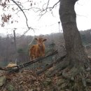 외포리버스터미널 이미지