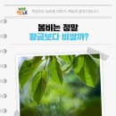 봄비학원