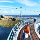 &#34;APEC 끝나자마자 폭발적 반응&#34; 외국인 300만 명 몰린 ‘의외의 도시’ 이미지