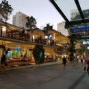 인간과허브 이미지