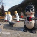 고창보건소 이미지