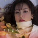 서은교 카카오 검색결과