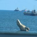 스타벅스 부산송도해수욕장점 이미지