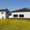 스테이퐁낭민박 이미지