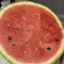 대박청과마트