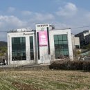 덕양11-8 농로 | 파주애견카페 '피터펫츠 내유점' 내돈내산 후기: 강아지가 환장했던 대형카페