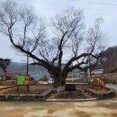 삼항2리 이미지