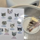 701아를고양이카페(cat in the art) 이미지