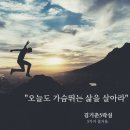 화성제일약국 이미지