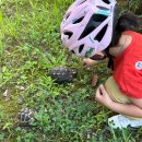 행운셀프세차장 | 8월의 우당탕탕 일상기록_3 (아들이랑 셀프세차하기 / 베스킨라빈스 랜덤키링 스머프 / 맥도날드 해피밀...