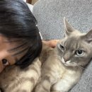 알콩달콩 이미지