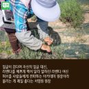 국제허브아카데미 이미지