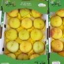 태우농장 이미지