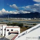 미스터뚱 이미지