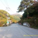 왕소나무집 이미지