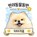키즈카페다다다 | 휘우커피 | 기차가 지나가는 지브리 감성 고양 애견동반 카페 후기