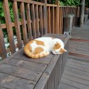 민정식당 이미지