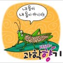 한강동물약품 이미지