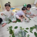 🐛 누에고치 친구를 만났어요 🧵 이미지