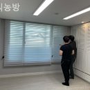 가구씨