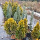 양지리 농장 이미지