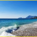 스테이코 이미지