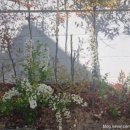 스테이 장호 이미지