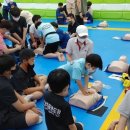 경희대신나무태권도장 이미지